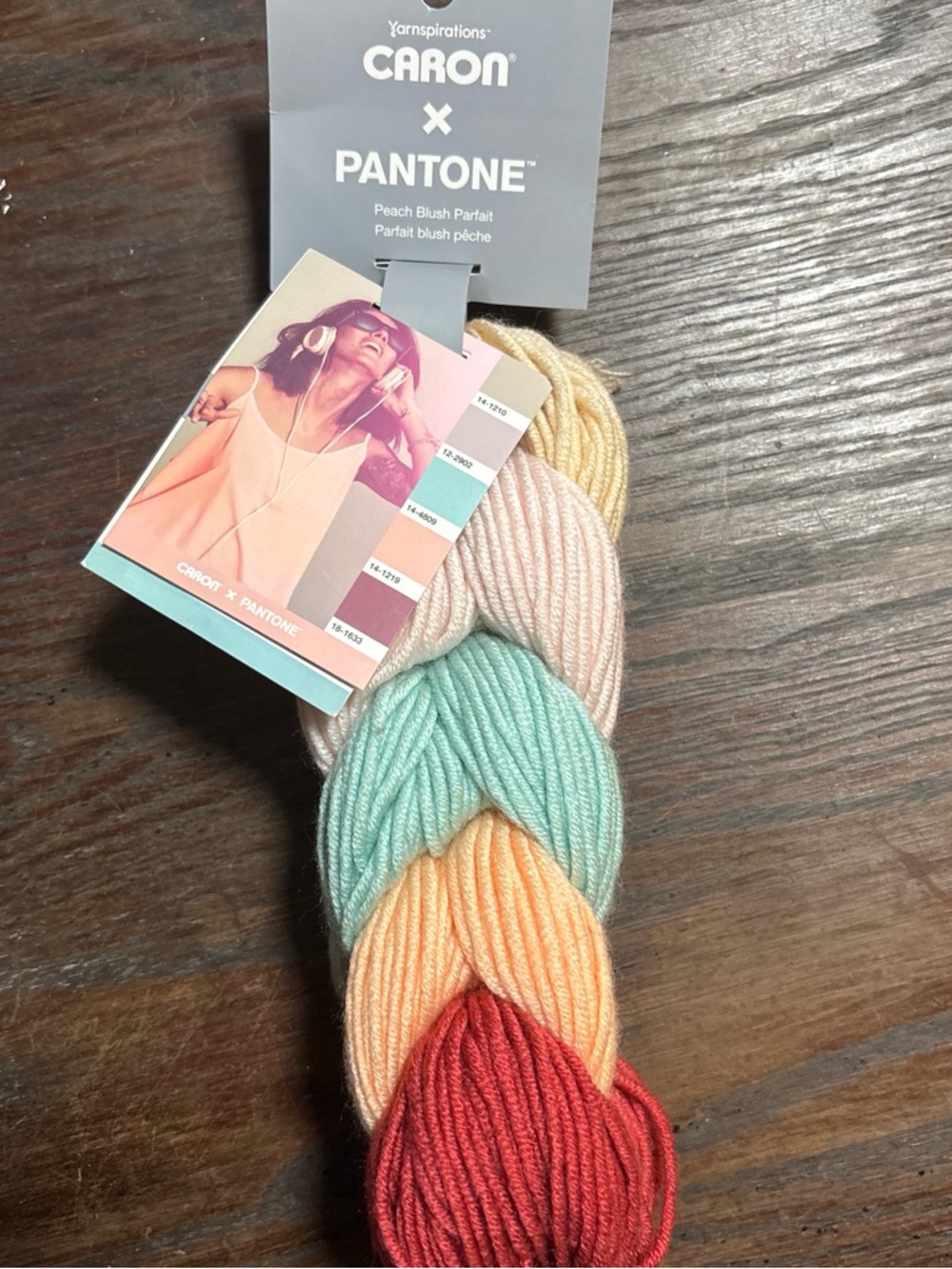 Caron x Pantone Multi-Color Yarn Bundle - Peach Blush Parfait